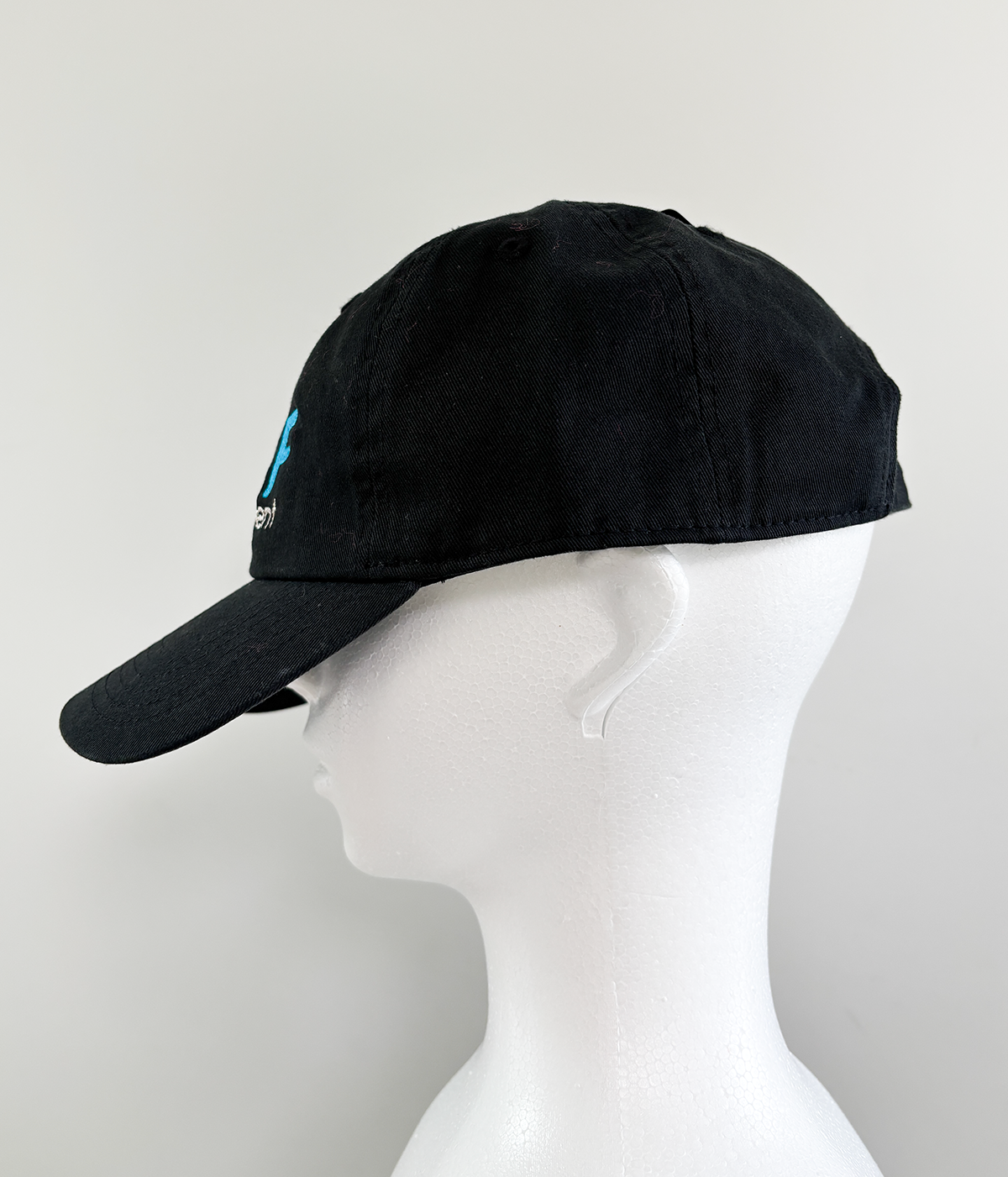 cap SAMPLE IMAGE*